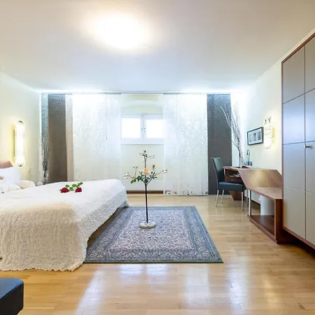 Rosenau Superior Hotel 4*